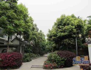 锦镇5室2厅东南