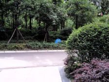 东城中央清水大三房,可以看江,采光好