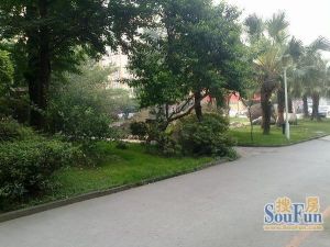 四季花语2室1厅东东南