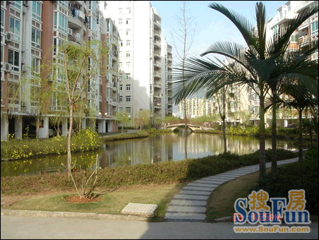 蓝山四季3期实景图