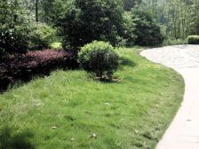 水木年华湖上 精装三房 业主急售