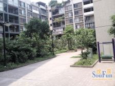 城投花园 1室1厅 东南