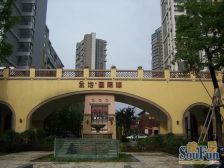 金地国际城1室1厅东北