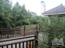 水木年华湖上 2室1厅 东南 西南 西北 东北