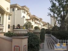 满五,无抵押,新上房源