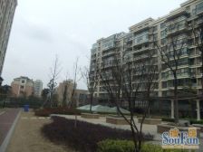 凤凰莱茵苑 4室1厅 南