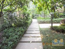 玫瑰城 花园洋房 清水顶跃 带露台