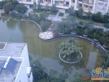 常平镇新城大花园小三房几乎没有居住过很漂亮朝花园