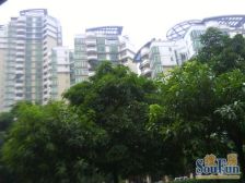 配套成熟,看房方便,复式户型,带平台花园