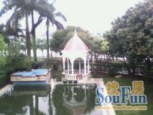 碧桂园豪园独栋别墅 中空客厅 300方+250方花园