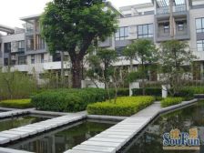 中天金海岸俊仕苑 5室1厅 西南