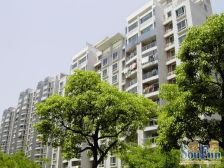 周家嘴路板块,次新房,精装修,前面采光好,看房方便。