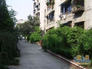 邮政局家属院(温江)3室2厅西南