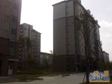 三林 · 博学家园 · 5室 · 1厅