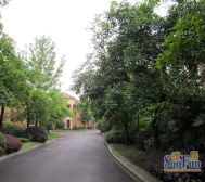 萨尔茨堡 5室2厅 南