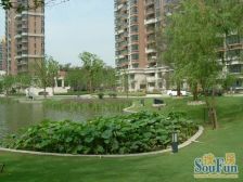 新上好房30万装修,中 央空调带地暖,看房联系维护人