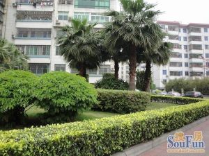 此房已加装电梯使用中,房子重新装修,自住保养好。