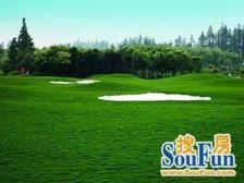 大上海高尔夫度假村 独栋别墅 占地两亩只要2600万