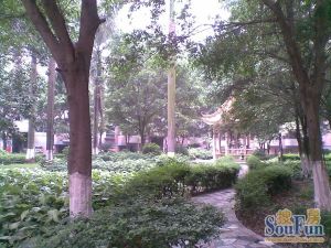 正规两房,户型方正,五年唯一,新区红墙,望花园
