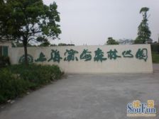 楼层好,视野宽阔,采光充足,配套设施齐全,交通便利