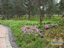 人和 金地豪苑一房28.5万