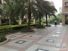 房子装修保养好,中区五期有地下车库 看房方便