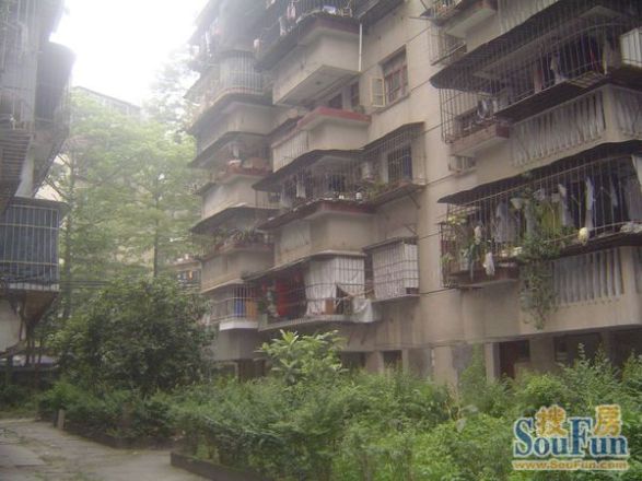 西凤新村