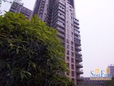 双城 2室2厅 西南