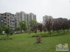 绿洲花园3室东朝向485.00万元/套出售