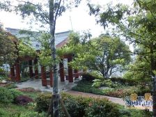 清水价格买装修独栋别墅,花园800平