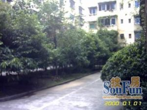 武侯祠大街252号2室2厅西南