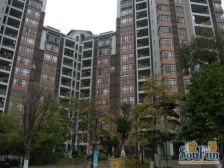 沙田东港城,大平层,户型方正,配套齐全,