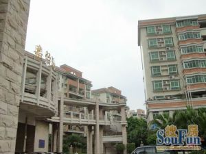 有电梯 南向精装 视野开阔 采光充足