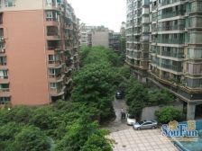 现代城人民公园 1室1厅 西南