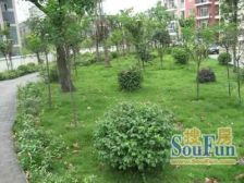 业主急售!价格可谈!金洁南桥晓月!精装一房!