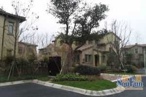 麓山国际翠云岭5室3厅东