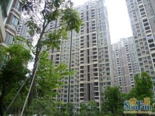 环湖花园联排别墅 湖中排位置 前后花园100方停两台车