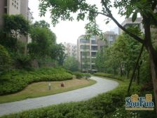 重庆东站 同景公园旁 洋房顶跃 视野开阔 近轻轨