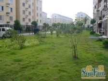 清水毛坯,满五年税费少,看房方便,交通便利,视野好