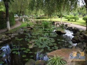 阳光假日5室2厅东南