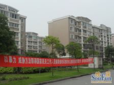 宝虹家园顶复,挑高六米,诚意出售