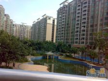 丽雅苑南区新的一期,近地铁3号线南海广场站,望花园