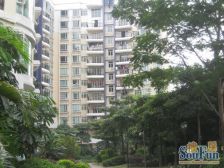 房子是小区中间的,业主诚心卖,看房方便