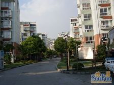 外高桥·高桥怡心苑·2室·2厅