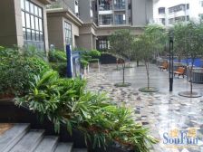 南山阳光花地苑1室1厅,近地铁,低总价,次新花园社区