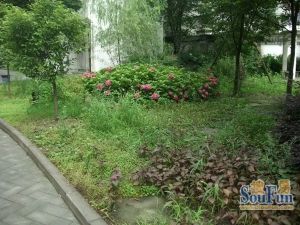 繁华时代3室1厅东南