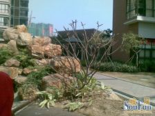 采光充足视野宽阔,楼层好交通便利