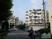 高桥一村2室南朝向135.00万元/套出售