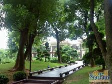 豪 装高层看高尔夫,视野开阔,包一个产权子母车位