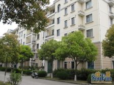 双楠户型,视野无遮挡,带私家小院~满五年。